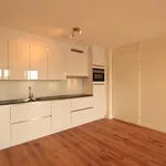 Rent 2 bedroom apartment of 54 m² in Maastricht