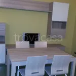 Rent 4 bedroom apartment of 110 m² in Porto Cesareo