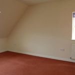 Rent 5 bedroom flat in East Of England