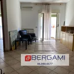 Rent 3 bedroom apartment of 75 m² in Roma