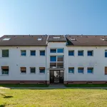 Rent 4 bedroom apartment of 85 m² in Celle