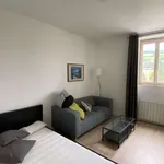 Rent 1 bedroom apartment of 29 m² in Saint-Étienne