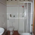 3-room flat excellent condition, ground floor, Verghereto, Carmignano