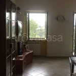 Rent 3 bedroom apartment of 65 m² in Frosinone