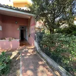 Rent 2 bedroom apartment of 50 m² in Orbetello