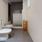 Rent 1 bedroom apartment of 50 m² in valencia