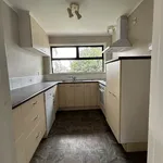 Rent 4 bedroom house in Greerton