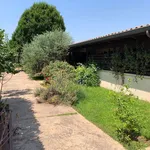 Rent 2 bedroom house of 50 m² in Rome