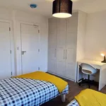 Rent a room in dublin