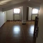 Rent 5 bedroom house of 170 m² in Potenza