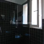 Rent 2 bedroom apartment of 40 m² in Bologna