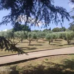 Rent 4 bedroom apartment of 150 m² in Rome