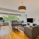 Rent 3 bedroom apartment in Eindhoven