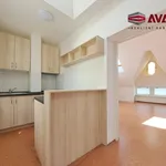 Rent 2 bedroom apartment in Opava