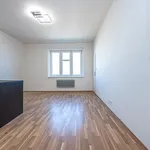 Rent 1 bedroom apartment of 29 m² in Capital City of Prague