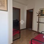 Affittasi Appartamento, Appartamento buono stato, Centro Storico, Velletri - Annunci Velletri (Roma) - Rif.534790