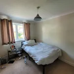 Rent 4 bedroom house in Folkestone and Hythe District