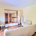 Rent 3 bedroom apartment of 85 m² in Busto Arsizio