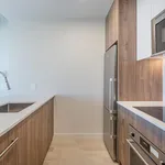  appartement avec 1 chambre(s) en location à Montreal