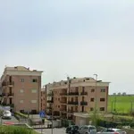 Rent 3 bedroom apartment of 75 m² in Rome