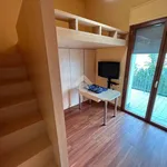 Rent 3 bedroom apartment of 100 m² in Settimo Milanese