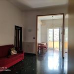 Rent 4 bedroom apartment of 110 m² in Genoa