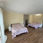 Rent 2 bedroom apartment of 60 m² in Luni