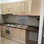 Rent 1 bedroom apartment of 44 m² in Garbagnate Milanese