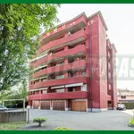 Rent 1 bedroom apartment of 35 m² in Gallarate