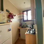 Rent 2 bedroom apartment of 60 m² in Settimo Torinese