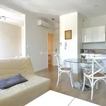 Appartement de 29 m² avec 1 chambre(s) en location à Albi