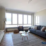 Rent 2 bedroom apartment in Antwerpen