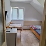 Rent 1 bedroom apartment in Zlín