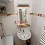 Rent 1 bedroom apartment in Capital City of Prague