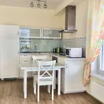 Rent 2 bedroom apartment of 48 m² in Praha