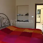 Rent 2 bedroom apartment of 40 m² in Torino