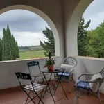 Rent 5 bedroom house in Florence