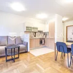 Rent 1 bedroom apartment of 44 m² in Zagreb