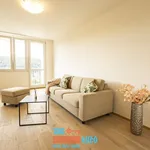 Rent 3 bedroom apartment of 70 m² in Prague