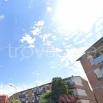 Rent 2 bedroom apartment of 53 m² in Cesena