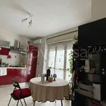 Rent 1 bedroom apartment of 30 m² in Alessandria