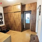 Rent 4 bedroom apartment of 78 m² in Plzeň