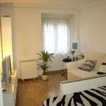 Rent 1 bedroom apartment in Madrid