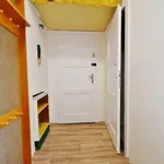 Rent 1 bedroom apartment in Brno