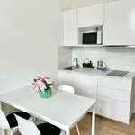 Rent 1 bedroom apartment of 30 m² in Prague