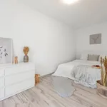 Rent 3 bedroom apartment in Brno