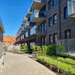 Rent 1 rooms apartment of 41 m² in Trelleborg Centrum