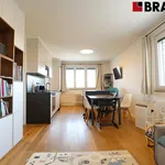 Pronajměte si 3 ložnic/e byt o rozloze 55 m² v Brno