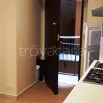 Rent 1 bedroom apartment of 33 m² in Torino