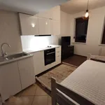 Rent 1 bedroom apartment of 28 m² in szczecin